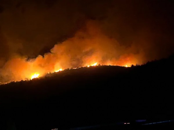 Milas'taki Orman Yangını 2. Gününde! Bin 120 Kişi Bölgeden Tahliye Edildi